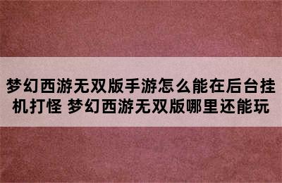 梦幻西游无双版手游怎么能在后台挂机打怪 梦幻西游无双版哪里还能玩